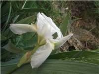 425f6882-Picture 010.jpg